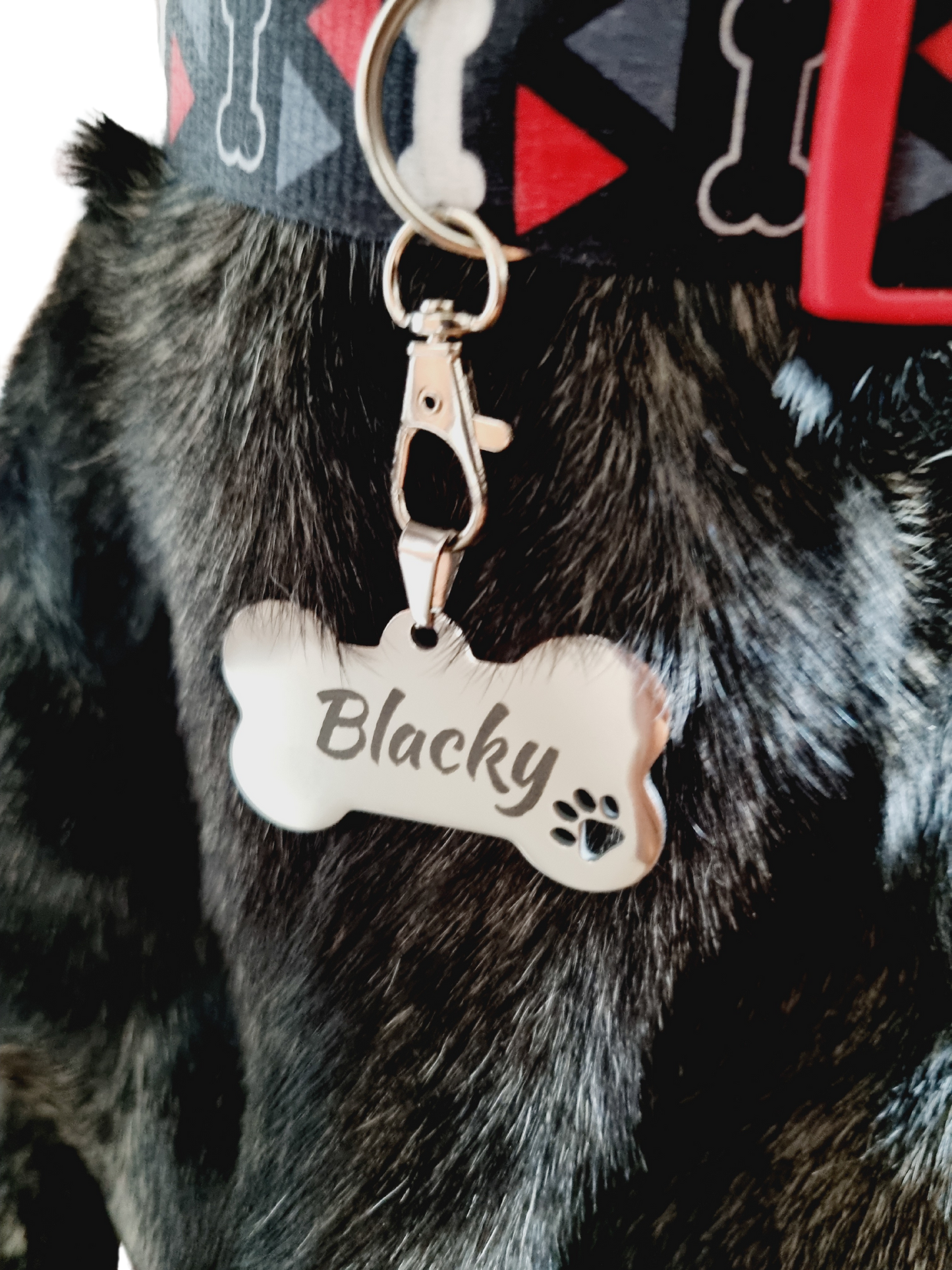 Pet Name Tag