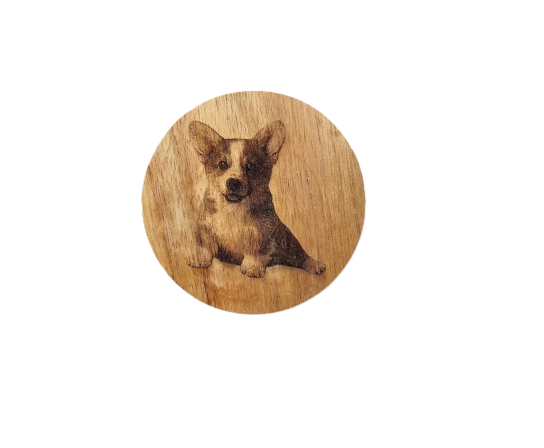 Custom Coaster