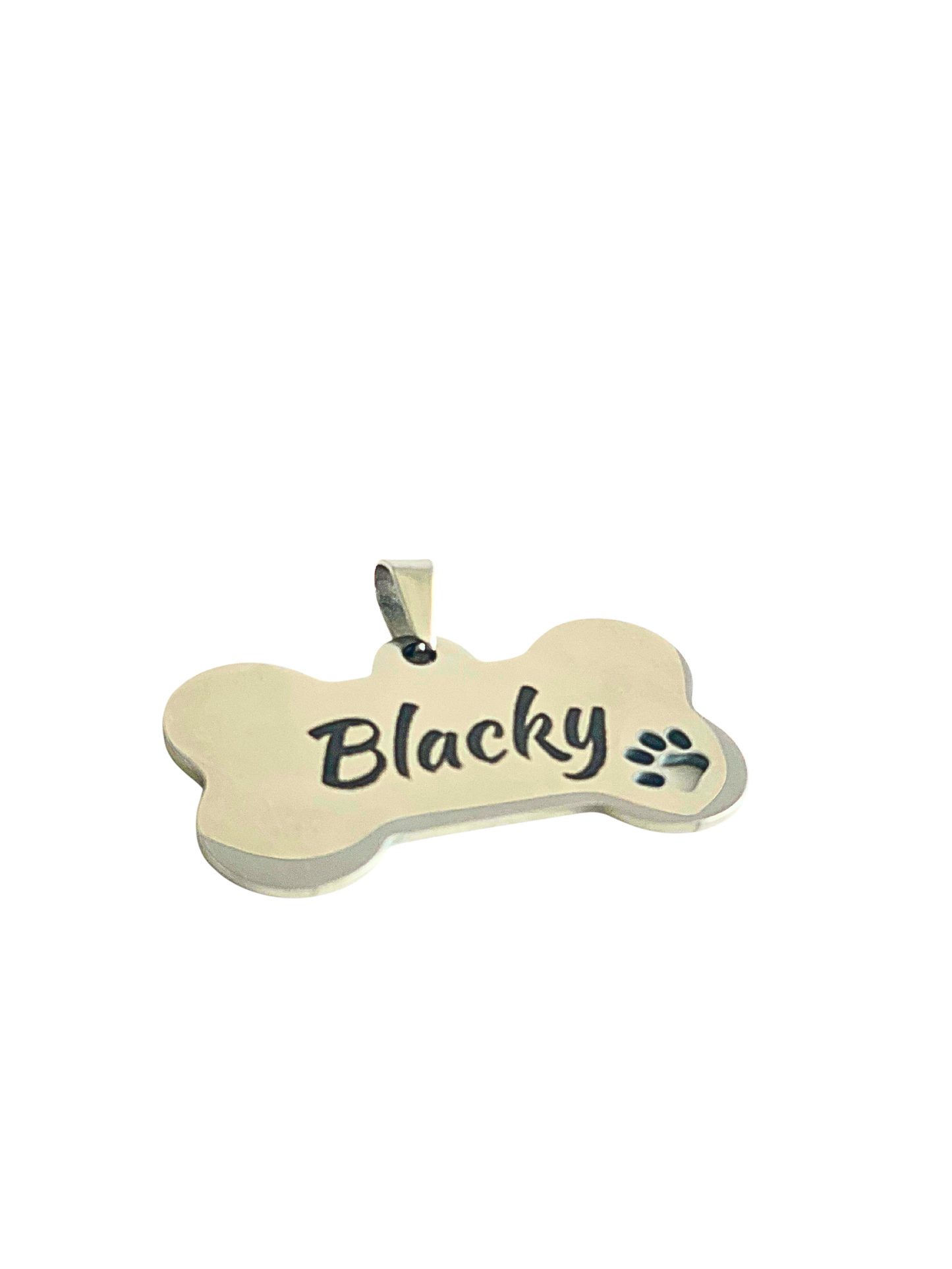 Pet Name Tag